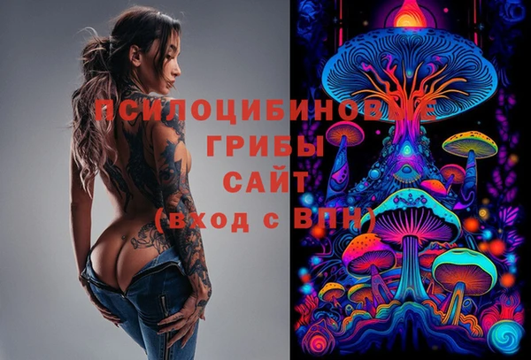 скорость Алексин