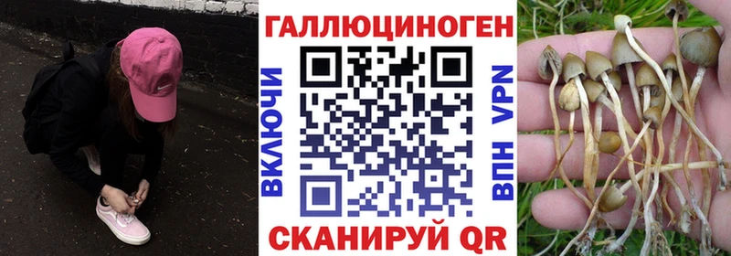 Галлюциногенные грибы Magic Shrooms Кондопога